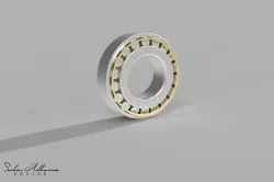 Roller Bearing