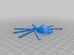 Spiders