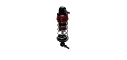 1603-BZ01 Shocks
