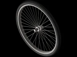 Bicycle wheel