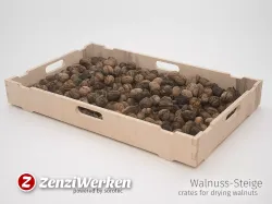 Crate for drying Walnuts