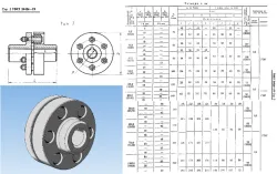 Elastic bush-pin coupling