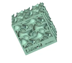 Lidinoid lattice