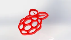 Raspberry pi logo