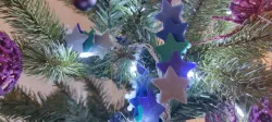 Stellar Festoon