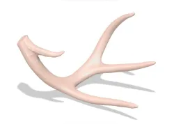 Deer Antler or Shed (never called a horn)