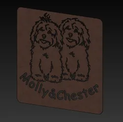 Dog Havaneser Molly&Chester