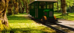 Rail Bus