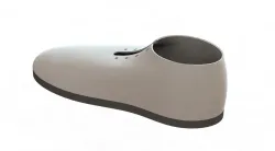 Shoe