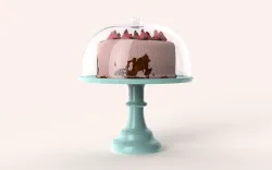 Cake Stand and cover (cake prop included)