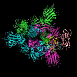 Covid 19 spike protein trimer