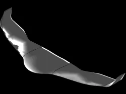 Glider UAV