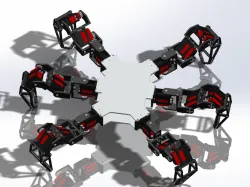 hexapod