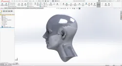 Human Head