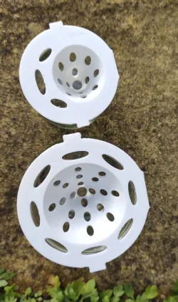 Jar Lid Trap For Asian Hornets 