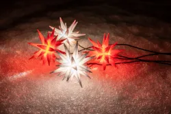 Moravian Star, Herrnhuter Stern