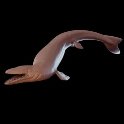 Mosasaur