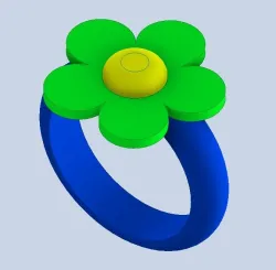 Ring + charms