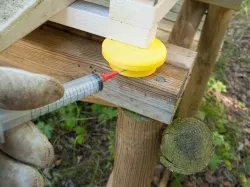 Beehive ant stopper