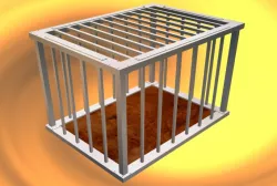 CAGE