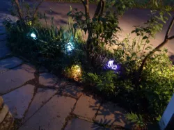 Elf Lights