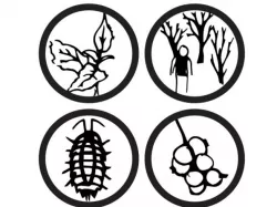 Food Survival Clinic