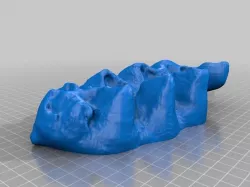 Mastodon tooth