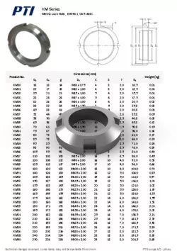 Metric Lock Nut DIN 981