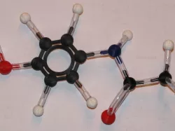 Molecular model set