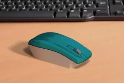 MOUSE