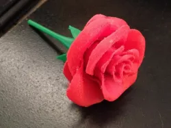 Rose with stem