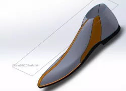 Shoe