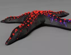 Starfish radioactive