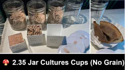 2.35 - Jar Cultures Cups 
