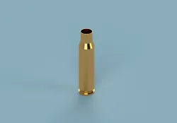 308 win case