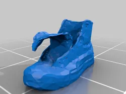 3d Scan of a Shoe