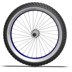 Bicycle wheel (rear)