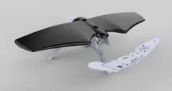 Drone wing