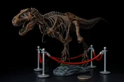 Exhibit Ropes for T-Rex