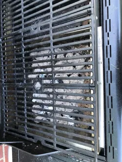 Grill Insert