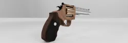Gun