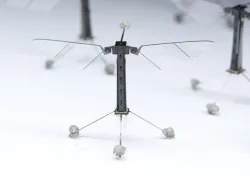 Harward Robot Insectr Flying
