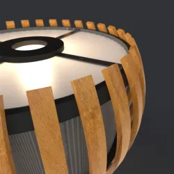 Large hanging entry light