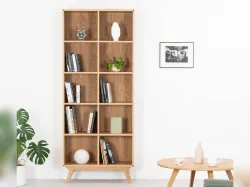 Living Room Shelf