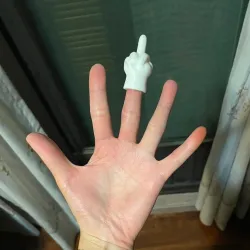Middle Finger Finger