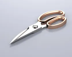 Scissor