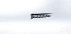 Screw