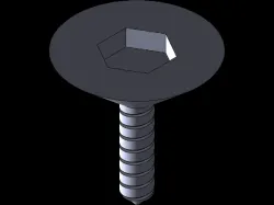 Screw