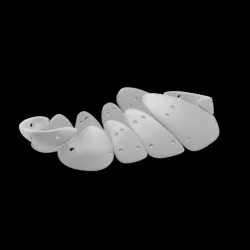 Bone Shoe 3d Model