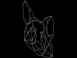 german shepherd 2